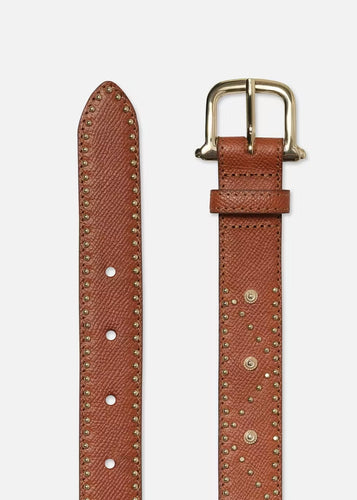A brown pebbled leather belt adorned with small gold stud embellishments arranged in a diamond pattern. It features a gold metal buckle and multiple adjustment holes. The belt has a textured surface and a pointed tip. One part of the Frame Belt by Frame shows its buckle, while the other shows its length.